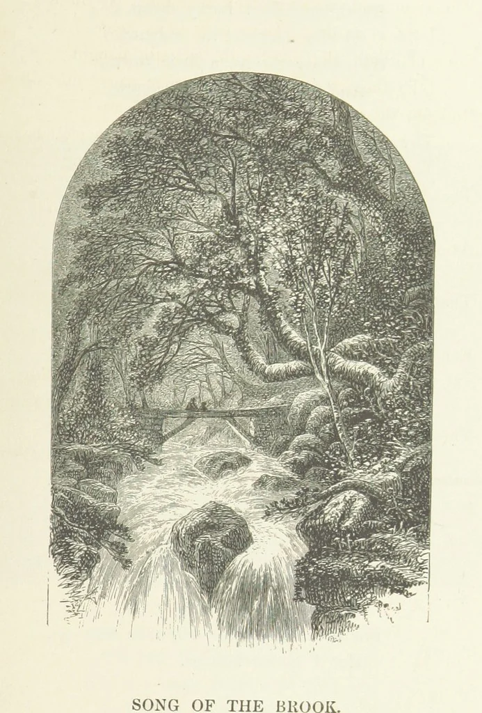 An illustration from Illustrated Library of favorite Song. Based upon folk songs. ... With an introduction, and edited by J. G. Holland ... Illustrated with ... engravings, ... after designs by Church, Johnson, etc, 1873, leaf 459