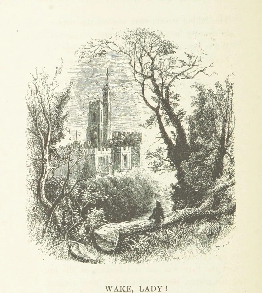 An illustration from Illustrated Library of favorite Song. Based upon folk songs. ... With an introduction, and edited by J. G. Holland ... Illustrated with ... engravings, ... after designs by Church, Johnson, etc, 1873, leaf 496
