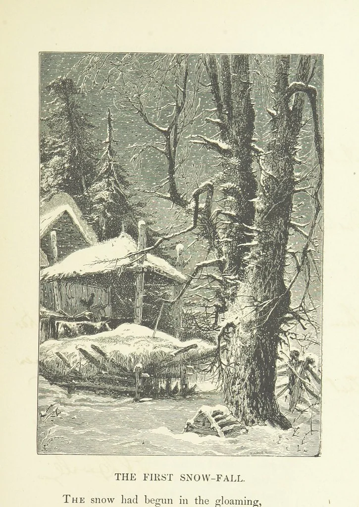 An illustration from Illustrated Library of favorite Song. Based upon folk songs. ... With an introduction, and edited by J. G. Holland ... Illustrated with ... engravings, ... after designs by Church, Johnson, etc, 1873, leaf 99