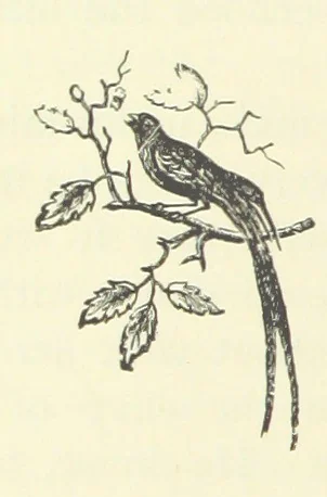 An illustration from A Week in Arcadia. [A novel.] Illustrated by Caroline Paterson, 1888, leaf 132