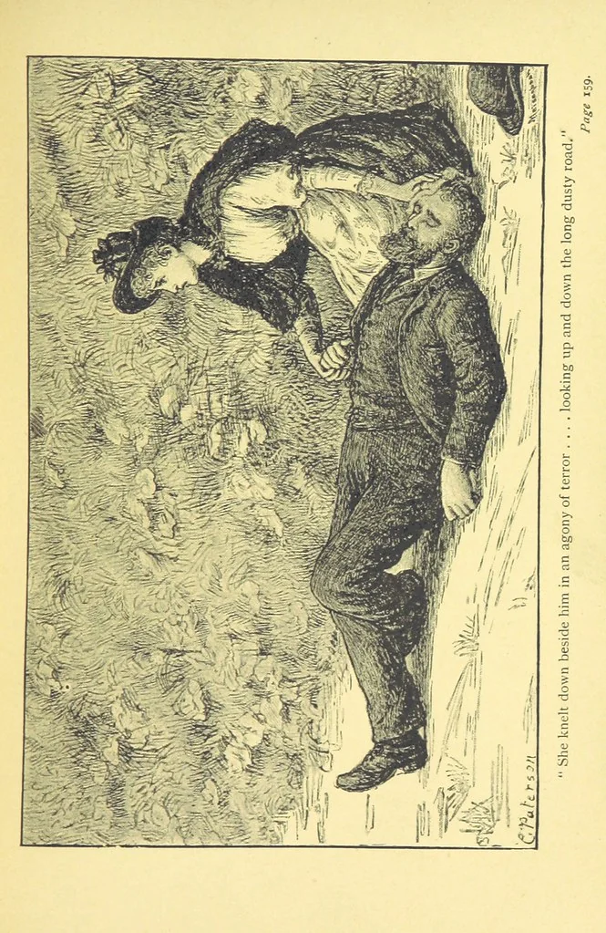 An illustration from A Week in Arcadia. [A novel.] Illustrated by Caroline Paterson, 1888, leaf 173