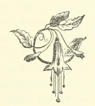 An illustration from A Week in Arcadia. [A novel.] Illustrated by Caroline Paterson, 1888, leaf 187