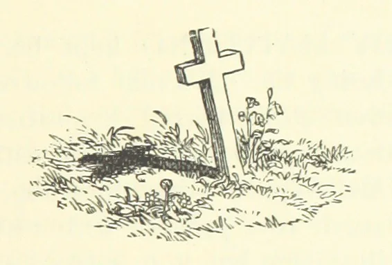 An illustration from A Week in Arcadia. [A novel.] Illustrated by Caroline Paterson, 1888, leaf 271