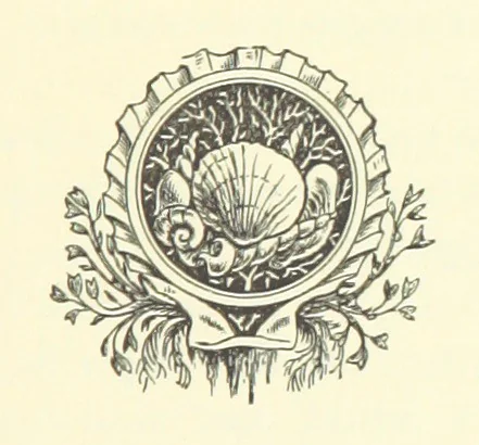 An illustration from A Week in Arcadia. [A novel.] Illustrated by Caroline Paterson, 1888, leaf 347