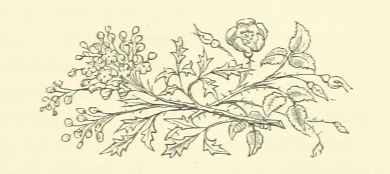 An illustration from A Week in Arcadia. [A novel.] Illustrated by Caroline Paterson, 1888, leaf 39