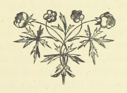 An illustration from Gertrude Ellerslie ... New and revised edition, 1884, leaf 107