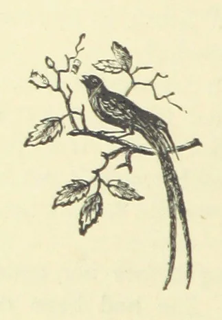 An illustration from Gertrude Ellerslie ... New and revised edition, 1884, leaf 22