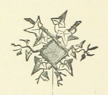 An illustration from Gertrude Ellerslie ... New and revised edition, 1884, leaf 290