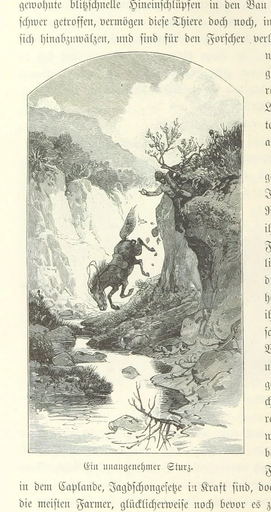 An illustration from Von der Capstadt ins Land der Maschukulumbe. Reisen im südlichen Afrika in den Jahren 1883-1887 ... Mit 205 Original-Holzschnitten, etc, 1890, leaf 100