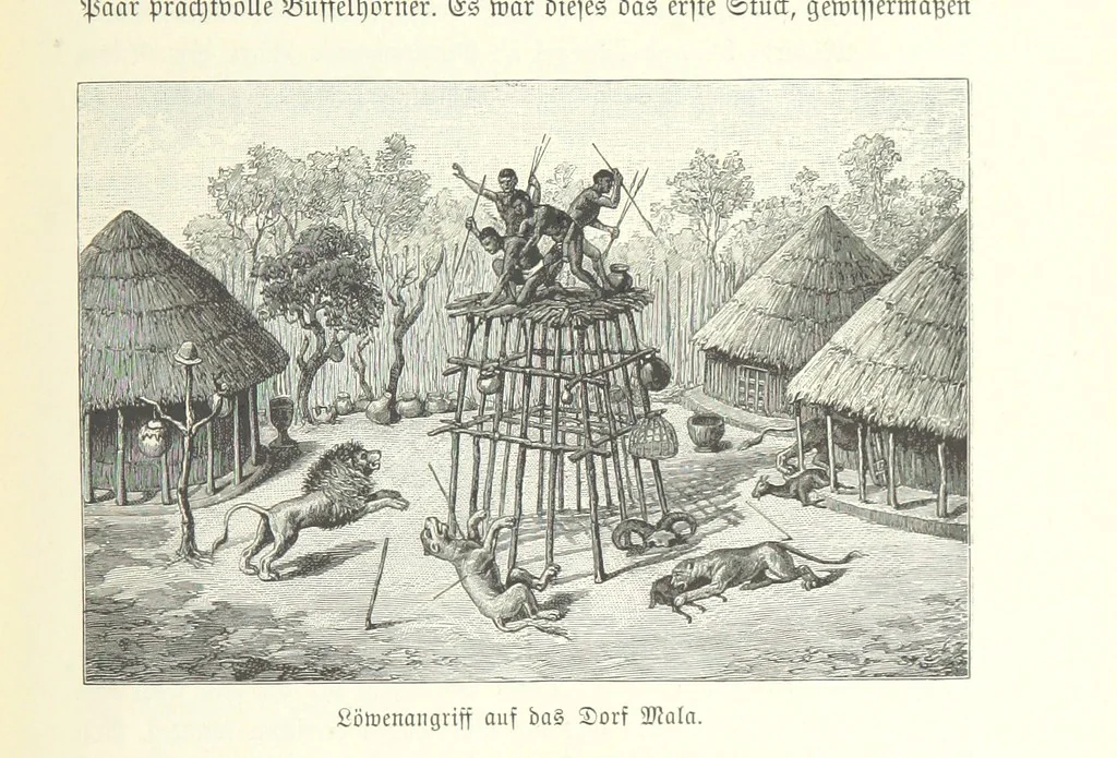 An illustration from Von der Capstadt ins Land der Maschukulumbe. Reisen im südlichen Afrika in den Jahren 1883-1887 ... Mit 205 Original-Holzschnitten, etc, 1890, leaf 1015