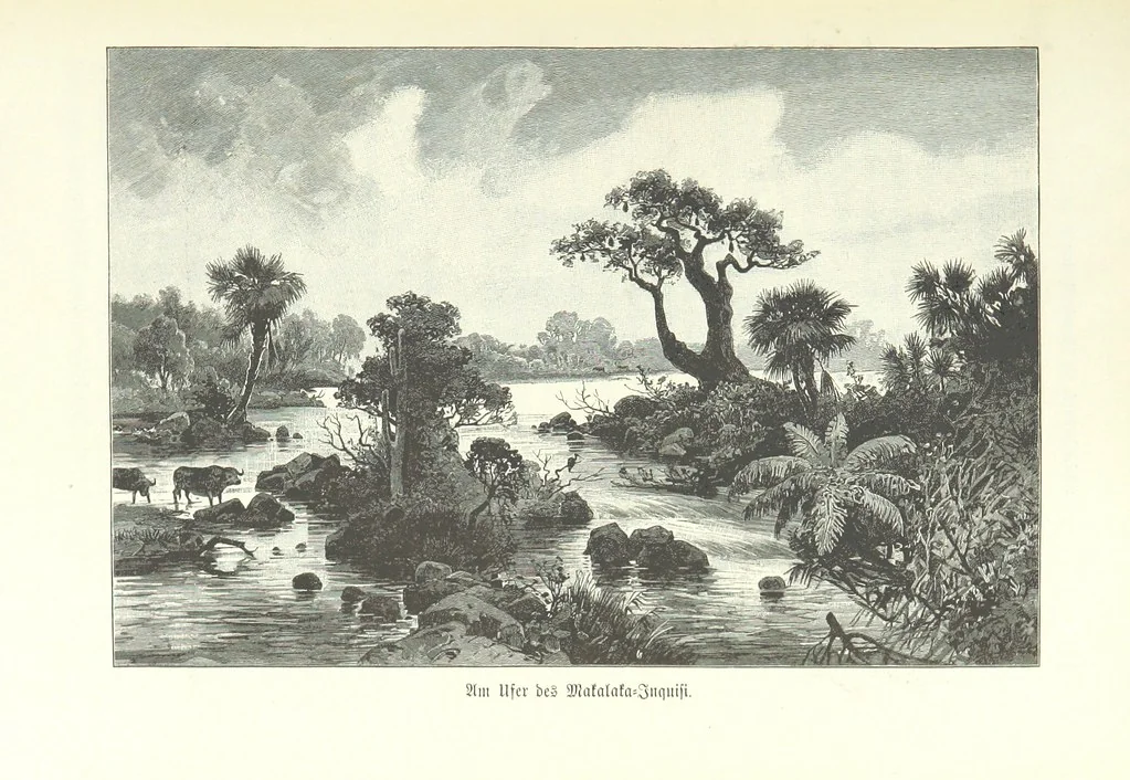 An illustration from Von der Capstadt ins Land der Maschukulumbe. Reisen im südlichen Afrika in den Jahren 1883-1887 ... Mit 205 Original-Holzschnitten, etc, 1890, leaf 1023