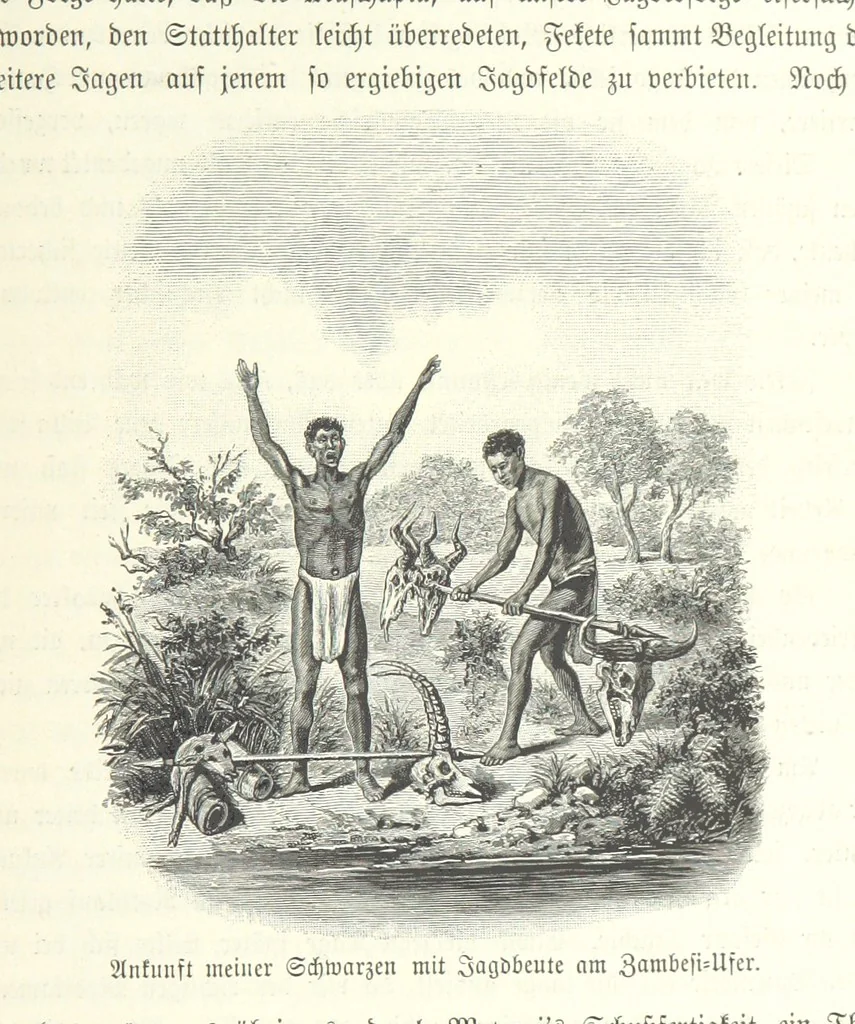 An illustration from Von der Capstadt ins Land der Maschukulumbe. Reisen im südlichen Afrika in den Jahren 1883-1887 ... Mit 205 Original-Holzschnitten, etc, 1890, leaf 1055