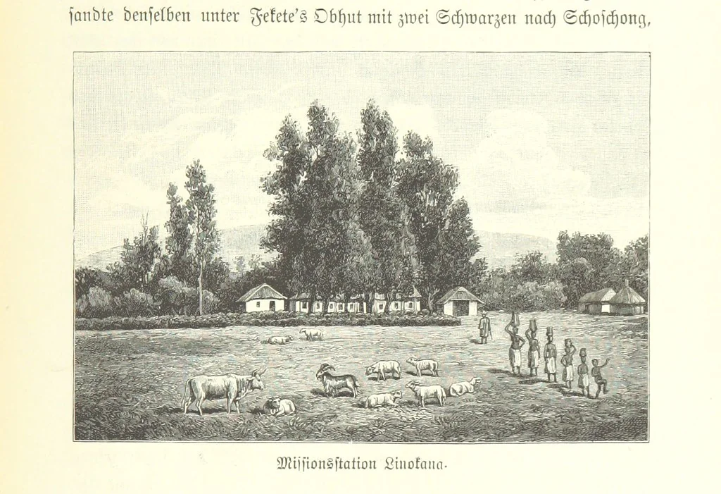 An illustration from Von der Capstadt ins Land der Maschukulumbe. Reisen im südlichen Afrika in den Jahren 1883-1887 ... Mit 205 Original-Holzschnitten, etc, 1890, leaf 1103