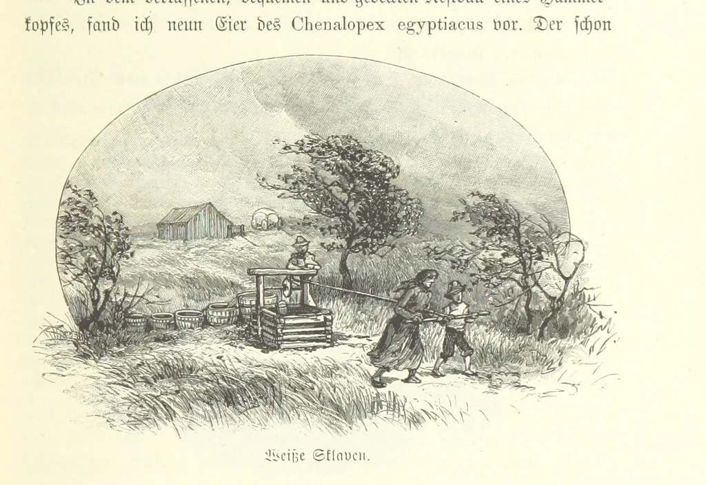An illustration from Von der Capstadt ins Land der Maschukulumbe. Reisen im südlichen Afrika in den Jahren 1883-1887 ... Mit 205 Original-Holzschnitten, etc, 1890, leaf 111