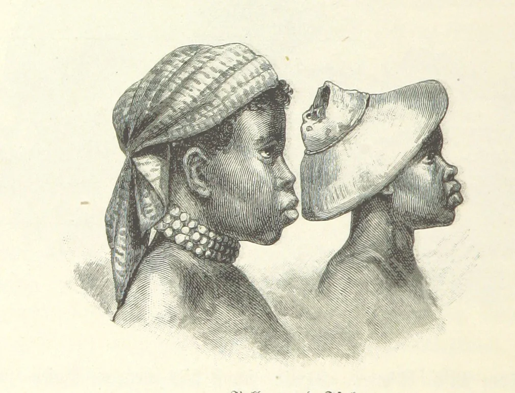 An illustration from Von der Capstadt ins Land der Maschukulumbe. Reisen im südlichen Afrika in den Jahren 1883-1887 ... Mit 205 Original-Holzschnitten, etc, 1890, leaf 112