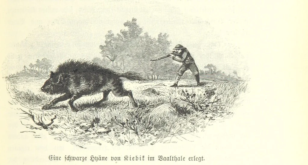 An illustration from Von der Capstadt ins Land der Maschukulumbe. Reisen im südlichen Afrika in den Jahren 1883-1887 ... Mit 205 Original-Holzschnitten, etc, 1890, leaf 117