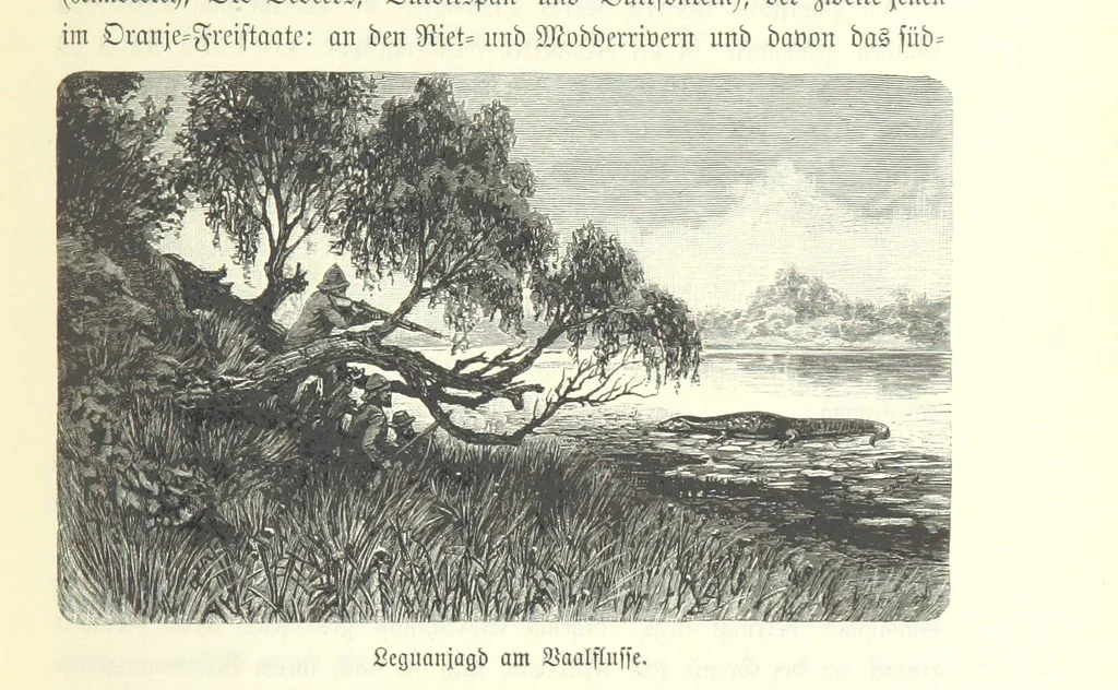 An illustration from Von der Capstadt ins Land der Maschukulumbe. Reisen im südlichen Afrika in den Jahren 1883-1887 ... Mit 205 Original-Holzschnitten, etc, 1890, leaf 121