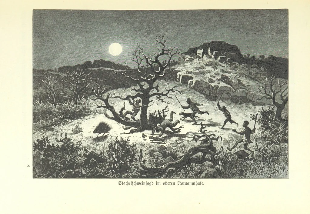 An illustration from Von der Capstadt ins Land der Maschukulumbe. Reisen im südlichen Afrika in den Jahren 1883-1887 ... Mit 205 Original-Holzschnitten, etc, 1890, leaf 133