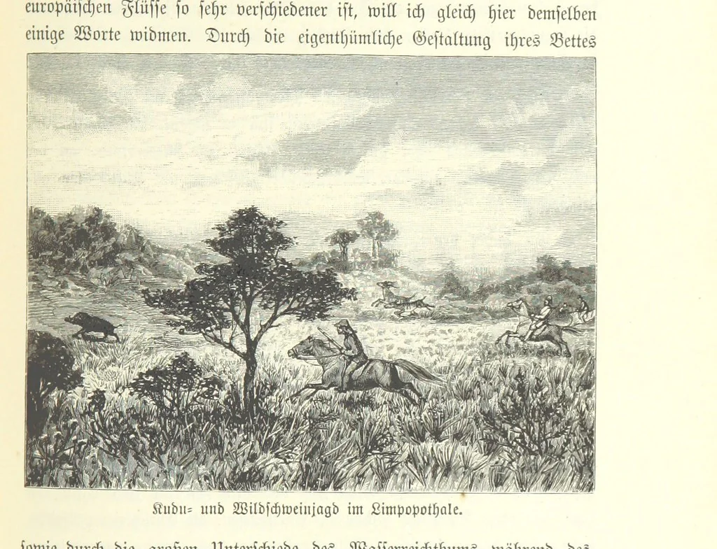 An illustration from Von der Capstadt ins Land der Maschukulumbe. Reisen im südlichen Afrika in den Jahren 1883-1887 ... Mit 205 Original-Holzschnitten, etc, 1890, leaf 165