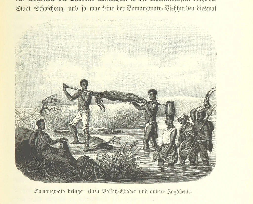 An illustration from Von der Capstadt ins Land der Maschukulumbe. Reisen im südlichen Afrika in den Jahren 1883-1887 ... Mit 205 Original-Holzschnitten, etc, 1890, leaf 189