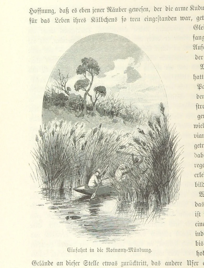 An illustration from Von der Capstadt ins Land der Maschukulumbe. Reisen im südlichen Afrika in den Jahren 1883-1887 ... Mit 205 Original-Holzschnitten, etc, 1890, leaf 204
