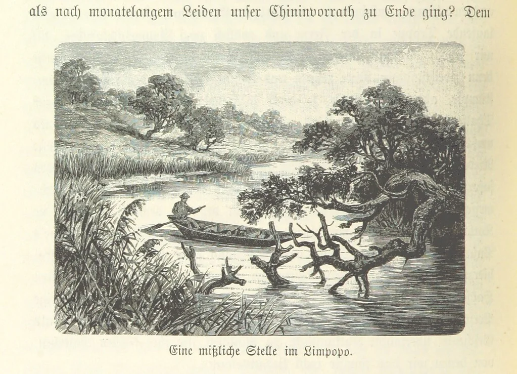 An illustration from Von der Capstadt ins Land der Maschukulumbe. Reisen im südlichen Afrika in den Jahren 1883-1887 ... Mit 205 Original-Holzschnitten, etc, 1890, leaf 212
