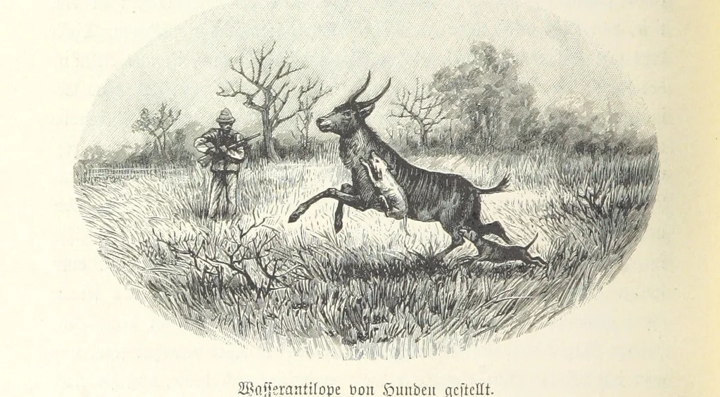 An illustration from Von der Capstadt ins Land der Maschukulumbe. Reisen im südlichen Afrika in den Jahren 1883-1887 ... Mit 205 Original-Holzschnitten, etc, 1890, leaf 220