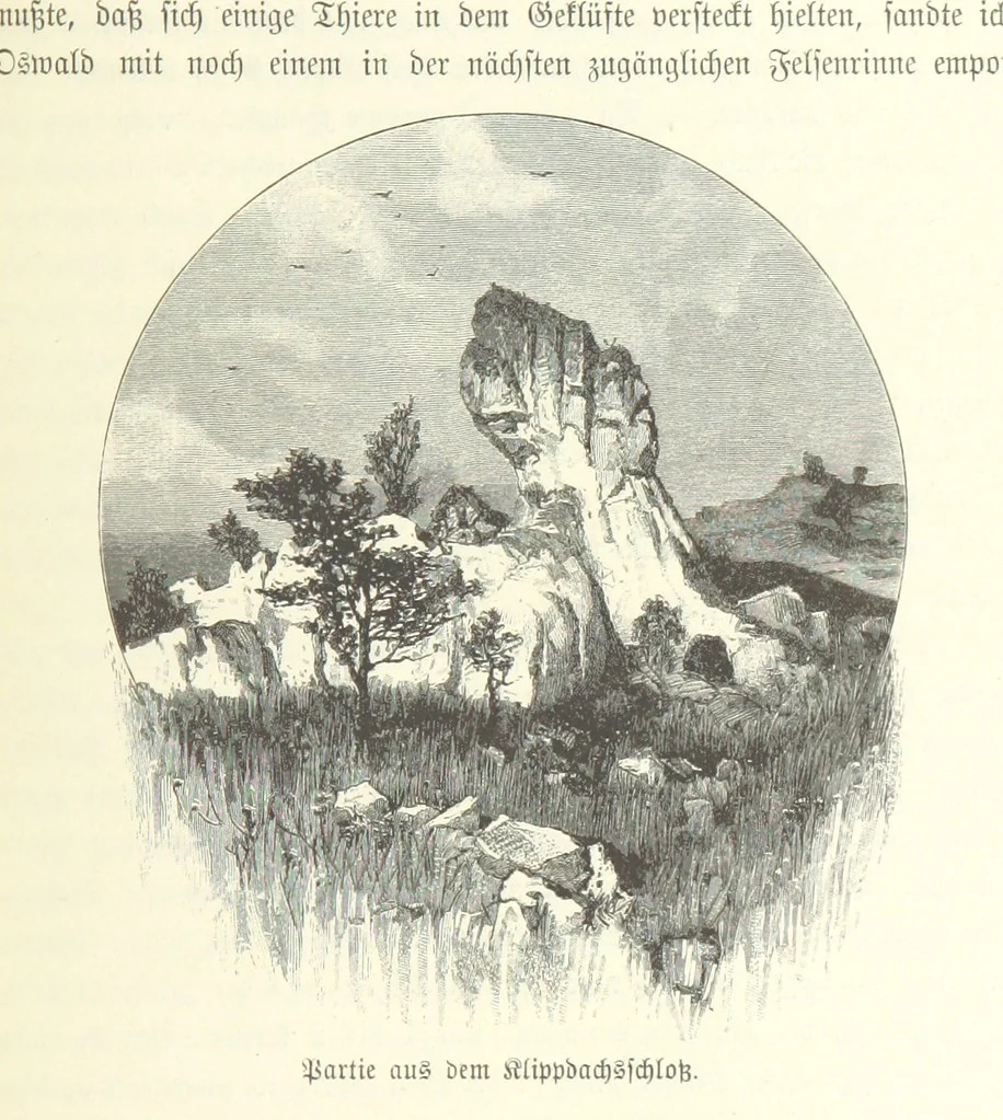 An illustration from Von der Capstadt ins Land der Maschukulumbe. Reisen im südlichen Afrika in den Jahren 1883-1887 ... Mit 205 Original-Holzschnitten, etc, 1890, leaf 277