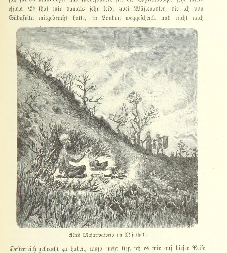 An illustration from Von der Capstadt ins Land der Maschukulumbe. Reisen im südlichen Afrika in den Jahren 1883-1887 ... Mit 205 Original-Holzschnitten, etc, 1890, leaf 289