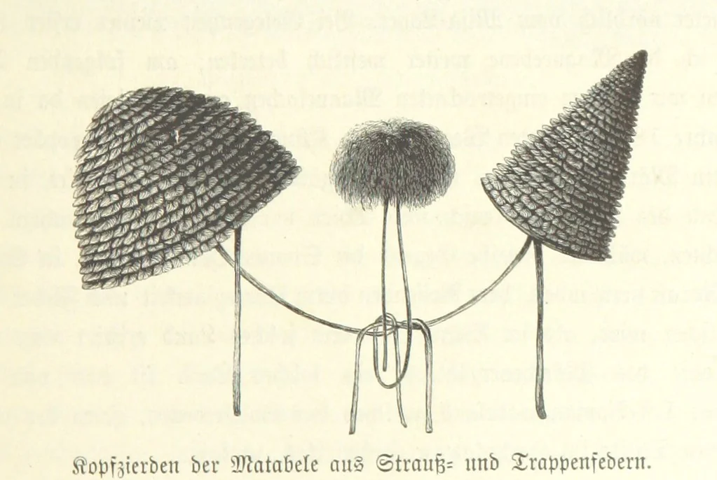 An illustration from Von der Capstadt ins Land der Maschukulumbe. Reisen im südlichen Afrika in den Jahren 1883-1887 ... Mit 205 Original-Holzschnitten, etc, 1890, leaf 291