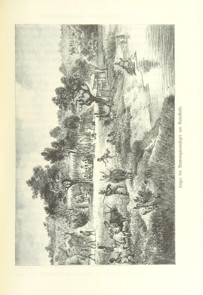 An illustration from Von der Capstadt ins Land der Maschukulumbe. Reisen im südlichen Afrika in den Jahren 1883-1887 ... Mit 205 Original-Holzschnitten, etc, 1890, leaf 317