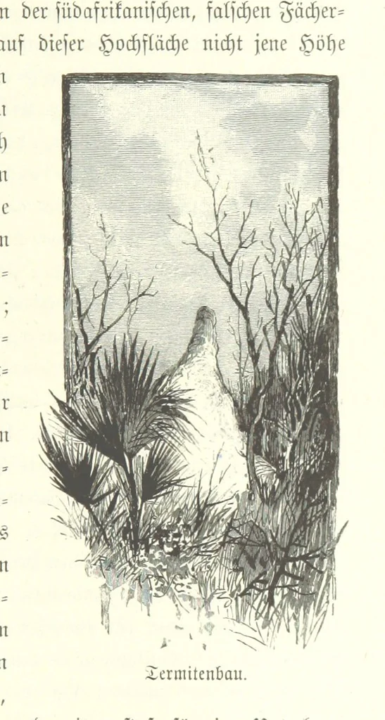 An illustration from Von der Capstadt ins Land der Maschukulumbe. Reisen im südlichen Afrika in den Jahren 1883-1887 ... Mit 205 Original-Holzschnitten, etc, 1890, leaf 321