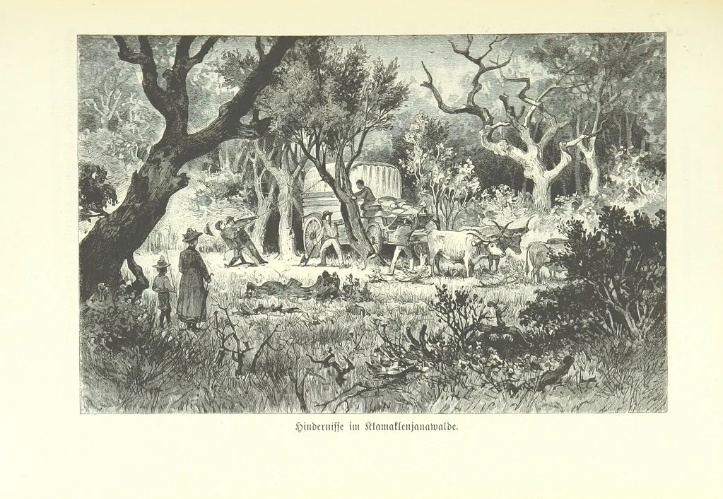 An illustration from Von der Capstadt ins Land der Maschukulumbe. Reisen im südlichen Afrika in den Jahren 1883-1887 ... Mit 205 Original-Holzschnitten, etc, 1890, leaf 349
