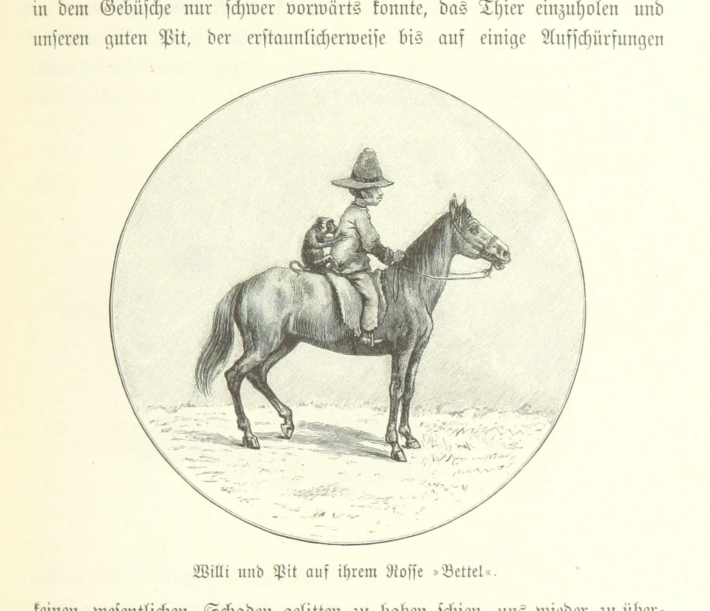 An illustration from Von der Capstadt ins Land der Maschukulumbe. Reisen im südlichen Afrika in den Jahren 1883-1887 ... Mit 205 Original-Holzschnitten, etc, 1890, leaf 355