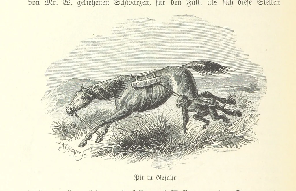 An illustration from Von der Capstadt ins Land der Maschukulumbe. Reisen im südlichen Afrika in den Jahren 1883-1887 ... Mit 205 Original-Holzschnitten, etc, 1890, leaf 356