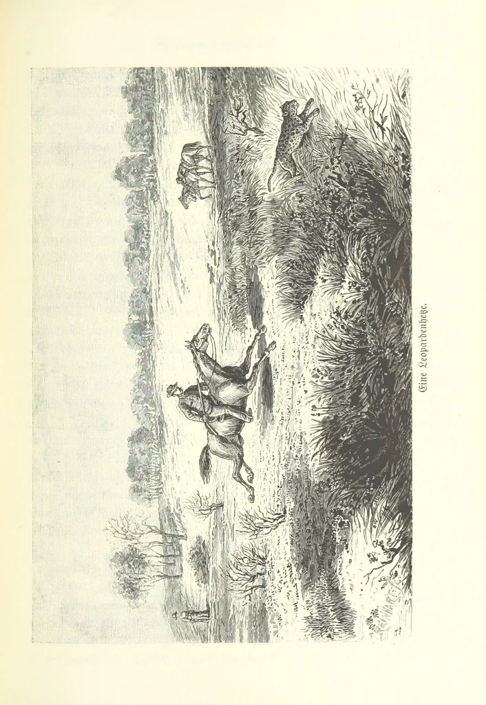 An illustration from Von der Capstadt ins Land der Maschukulumbe. Reisen im südlichen Afrika in den Jahren 1883-1887 ... Mit 205 Original-Holzschnitten, etc, 1890, leaf 361