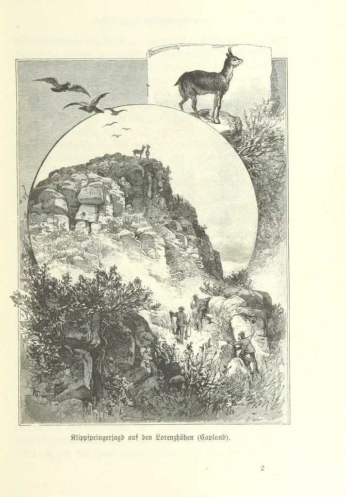 An illustration from Von der Capstadt ins Land der Maschukulumbe. Reisen im südlichen Afrika in den Jahren 1883-1887 ... Mit 205 Original-Holzschnitten, etc, 1890, leaf 37