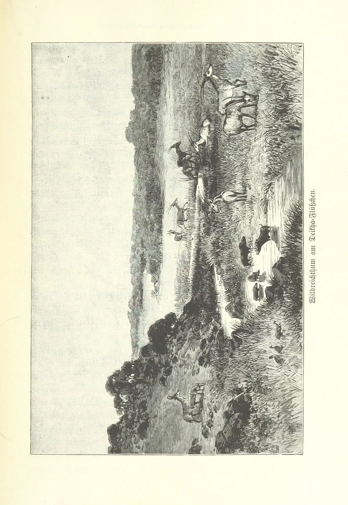 An illustration from Von der Capstadt ins Land der Maschukulumbe. Reisen im südlichen Afrika in den Jahren 1883-1887 ... Mit 205 Original-Holzschnitten, etc, 1890, leaf 381