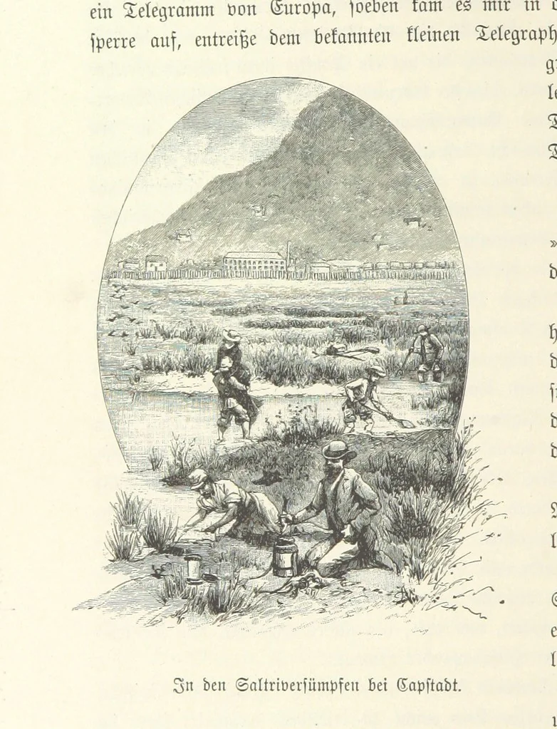 An illustration from Von der Capstadt ins Land der Maschukulumbe. Reisen im südlichen Afrika in den Jahren 1883-1887 ... Mit 205 Original-Holzschnitten, etc, 1890, leaf 40