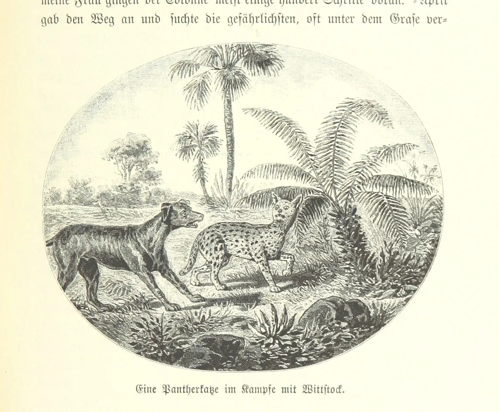An illustration from Von der Capstadt ins Land der Maschukulumbe. Reisen im südlichen Afrika in den Jahren 1883-1887 ... Mit 205 Original-Holzschnitten, etc, 1890, leaf 407
