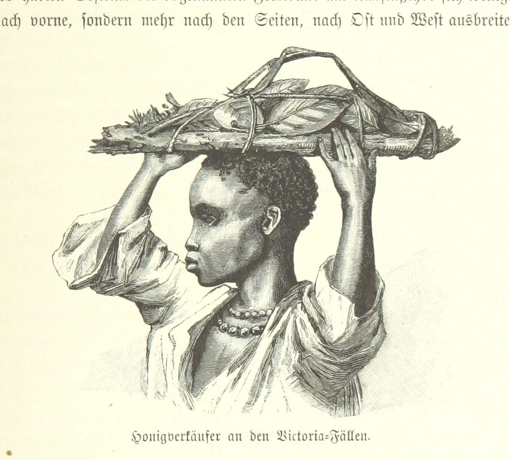 An illustration from Von der Capstadt ins Land der Maschukulumbe. Reisen im südlichen Afrika in den Jahren 1883-1887 ... Mit 205 Original-Holzschnitten, etc, 1890, leaf 421