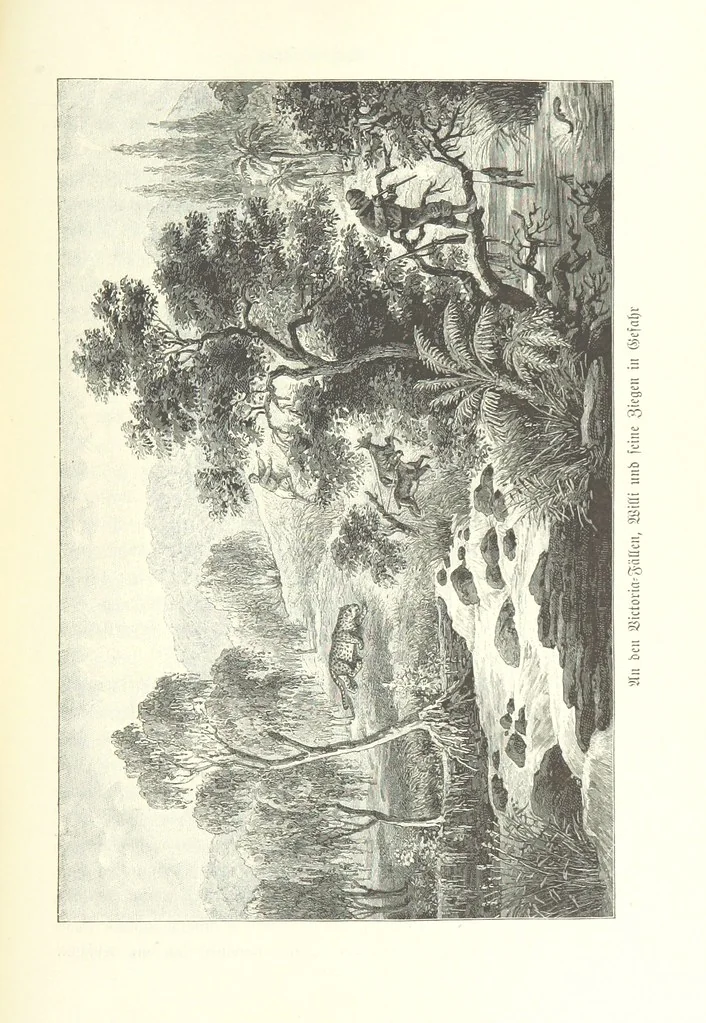 An illustration from Von der Capstadt ins Land der Maschukulumbe. Reisen im südlichen Afrika in den Jahren 1883-1887 ... Mit 205 Original-Holzschnitten, etc, 1890, leaf 429