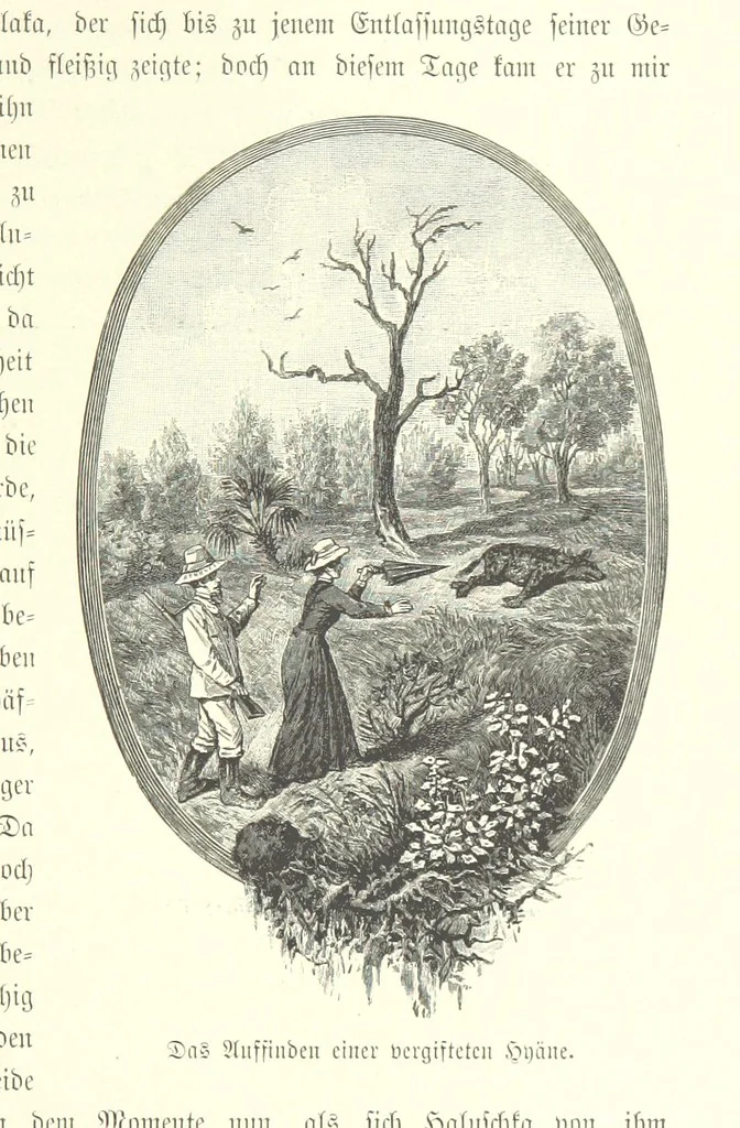 An illustration from Von der Capstadt ins Land der Maschukulumbe. Reisen im südlichen Afrika in den Jahren 1883-1887 ... Mit 205 Original-Holzschnitten, etc, 1890, leaf 477