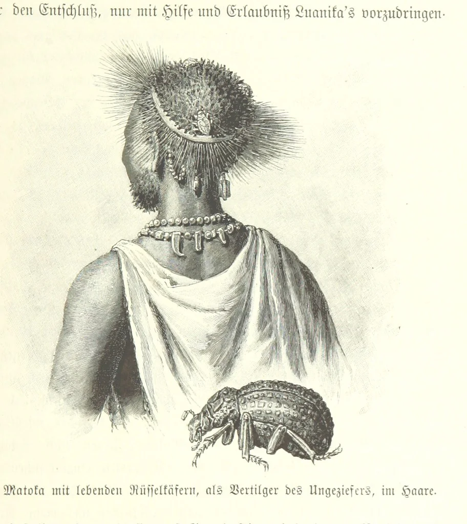 An illustration from Von der Capstadt ins Land der Maschukulumbe. Reisen im südlichen Afrika in den Jahren 1883-1887 ... Mit 205 Original-Holzschnitten, etc, 1890, leaf 485