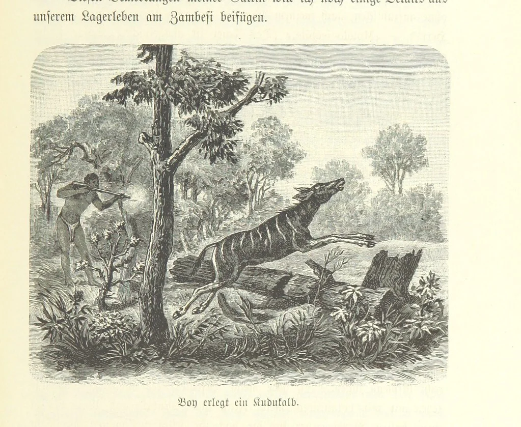 An illustration from Von der Capstadt ins Land der Maschukulumbe. Reisen im südlichen Afrika in den Jahren 1883-1887 ... Mit 205 Original-Holzschnitten, etc, 1890, leaf 533