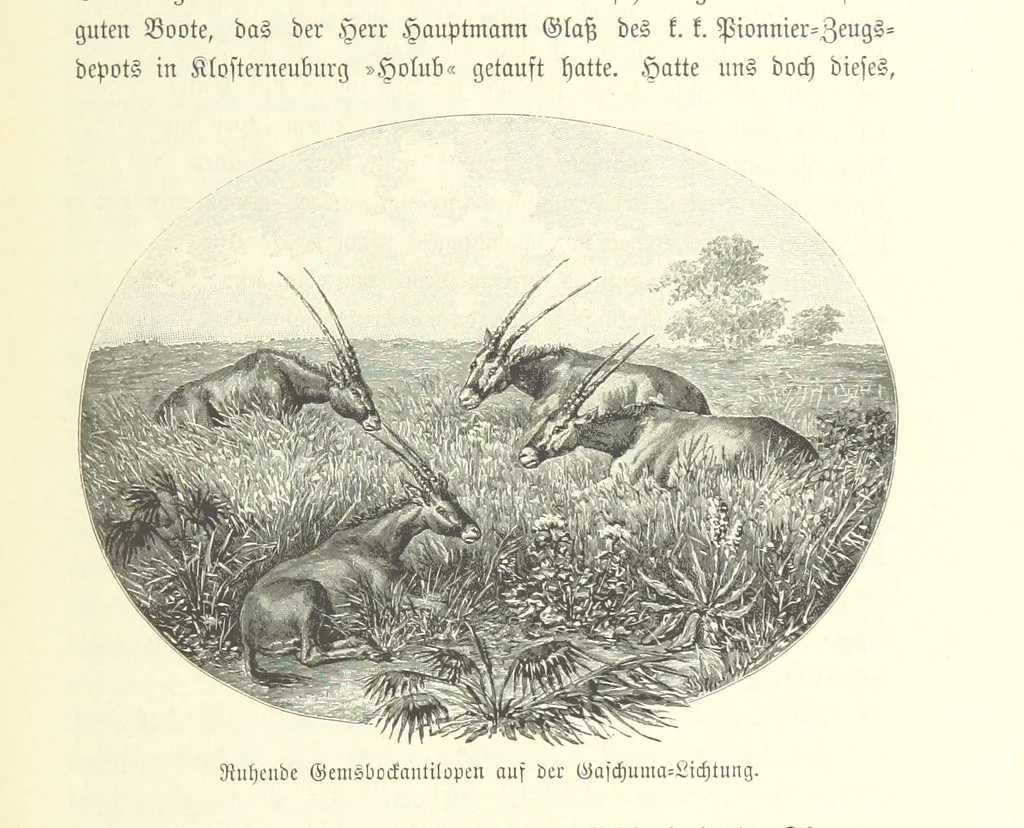 An illustration from Von der Capstadt ins Land der Maschukulumbe. Reisen im südlichen Afrika in den Jahren 1883-1887 ... Mit 205 Original-Holzschnitten, etc, 1890, leaf 541