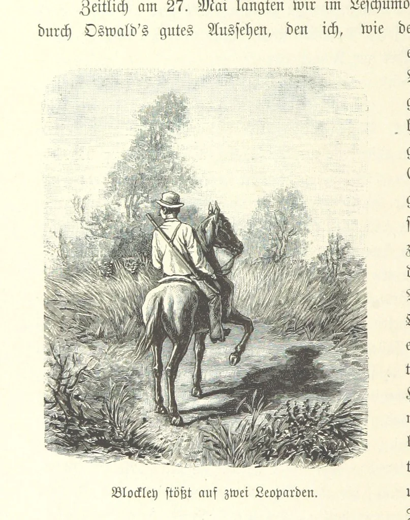 An illustration from Von der Capstadt ins Land der Maschukulumbe. Reisen im südlichen Afrika in den Jahren 1883-1887 ... Mit 205 Original-Holzschnitten, etc, 1890, leaf 606