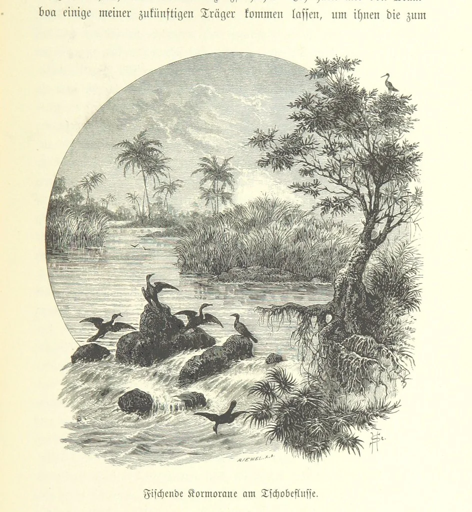 An illustration from Von der Capstadt ins Land der Maschukulumbe. Reisen im südlichen Afrika in den Jahren 1883-1887 ... Mit 205 Original-Holzschnitten, etc, 1890, leaf 607