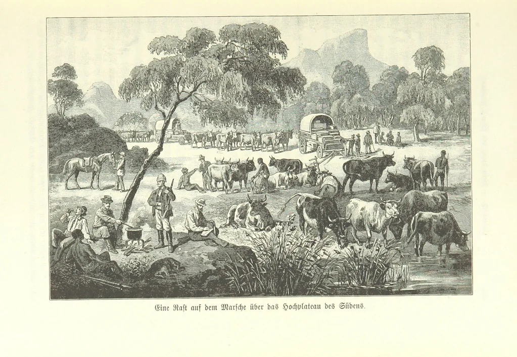 An illustration from Von der Capstadt ins Land der Maschukulumbe. Reisen im südlichen Afrika in den Jahren 1883-1887 ... Mit 205 Original-Holzschnitten, etc, 1890, leaf 61