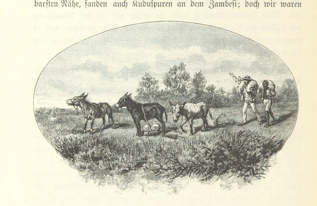 An illustration from Von der Capstadt ins Land der Maschukulumbe. Reisen im südlichen Afrika in den Jahren 1883-1887 ... Mit 205 Original-Holzschnitten, etc, 1890, leaf 630
